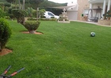 كمال حسناوي